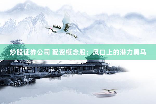 炒股证券公司 配资概念股：风口上的潜力黑马
